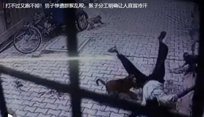 1562730484342196.png image.png