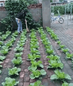 仁昌科技 全球最大顶级体育平台